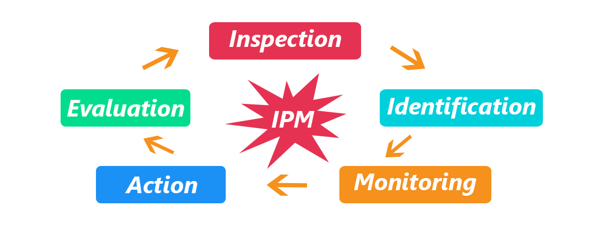Our Approach β Pestonics