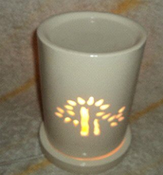 Electric Diffusers & Oils — Pestonics